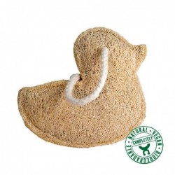 Luffa, varie forme