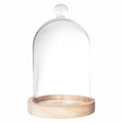 Diam10 glass bell