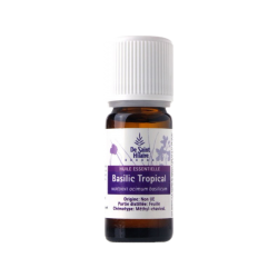 Salle d'ô - HE Basilic Tropical Bio 10 ML