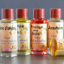 Extraits de parfum - Vanille des iles - 15ml