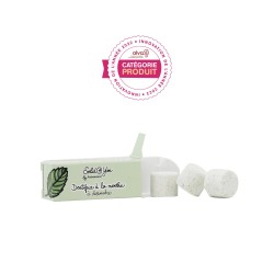Salle d'ô - 6 Pastilles à dissoudre à la menthe - 15g - pachamamai