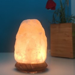 Salle d'ô - Lampe en Cristal de Sel d’Himalaya - Rock 600g - USB - Base en Bois