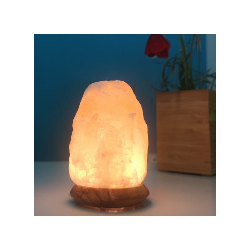 Salle d'ô - Lampe en Cristal de Sel d’Himalaya - Rock 600g - USB - Base en Bois Salle d'ô - Lampe en Cristal de Sel d’Himalaya - Rock 600g - USB - Base en Bois