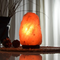 Salle d'ô - Lampe en Cristal de Sel d’Himalaya - Rock 2-3Kg - Base en Bois