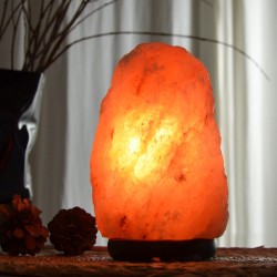 Salle d'ô - Lampe en Cristal de Sel d’Himalaya - Rock 4-6Kg - Base en Bois