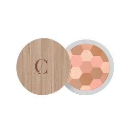 Salle d'ô - Couleur caramel - Poudre Mosaïque n°232-Teint clair